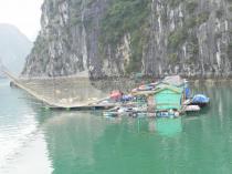 La baie d'Ha Long