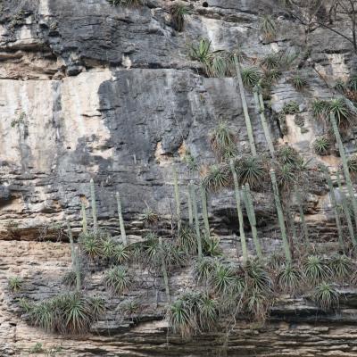 Canyon du Sumidero