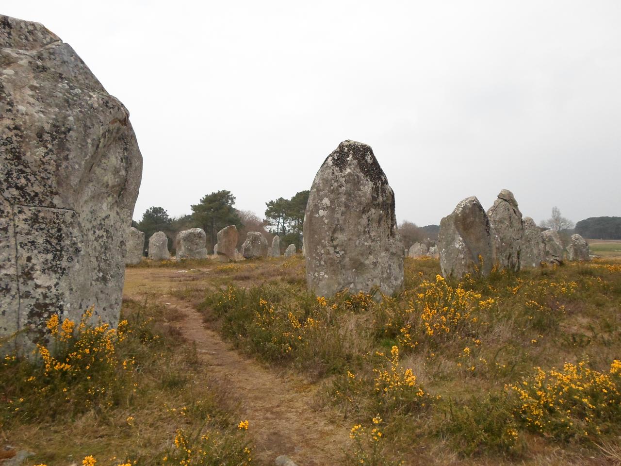 carnac-alignements-2.jpg