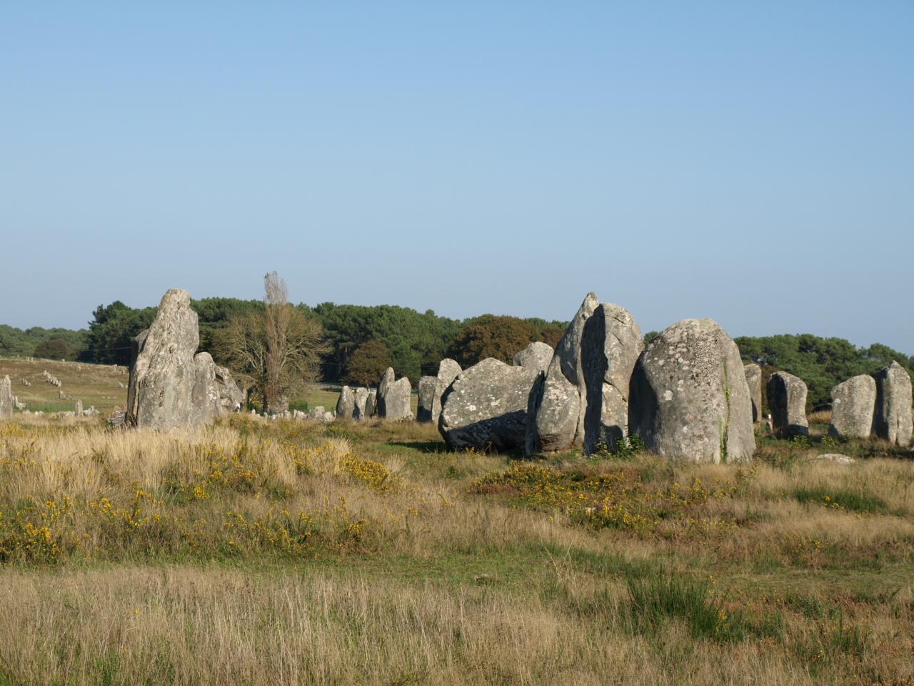 carnac-alignements-21.jpg