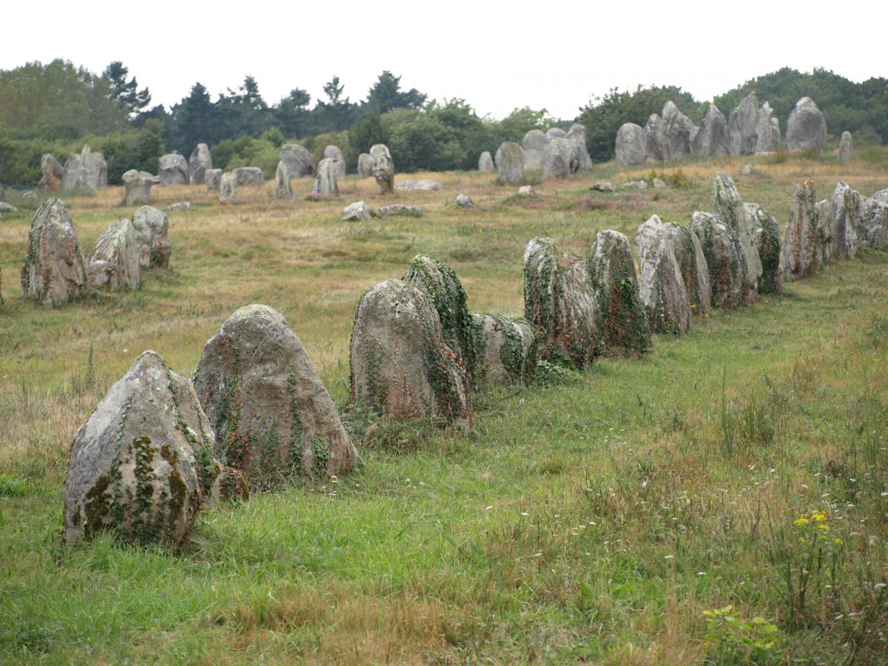 carnac-alignements-28.jpg