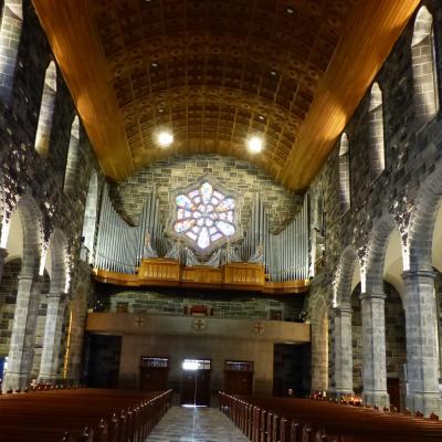 Cathédrale de Galway (Nanie)