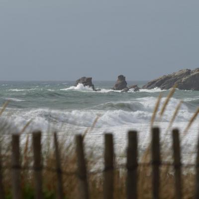 Côte Sauvage
