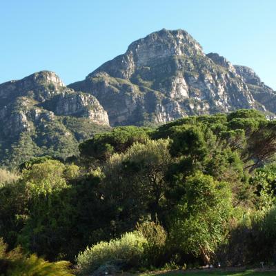 Jardins botaniques de Kirstenbosch