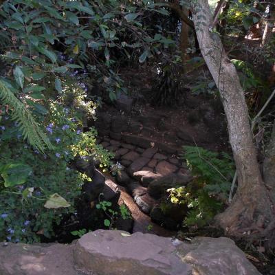 Jardins botaniques de kristenbosch