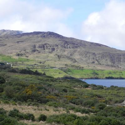 Lac