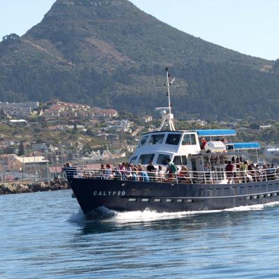 Le bateau de croisière