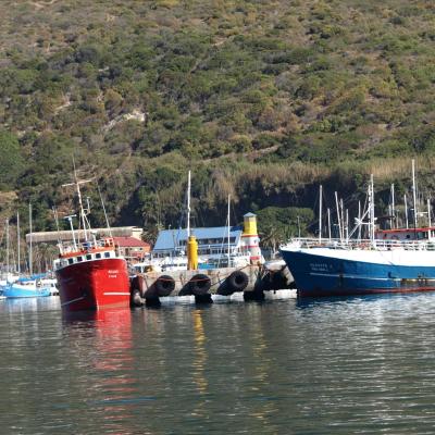 Hout Bay