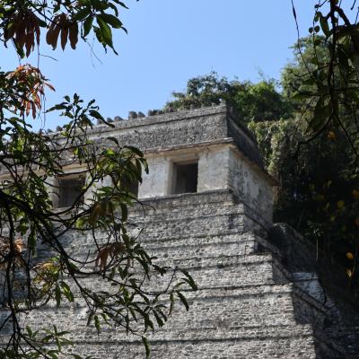 Le temple des inscriptions