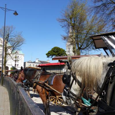 Parc Killarney (Nanie)