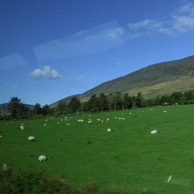 Paysage d'Irlande (Nanie)