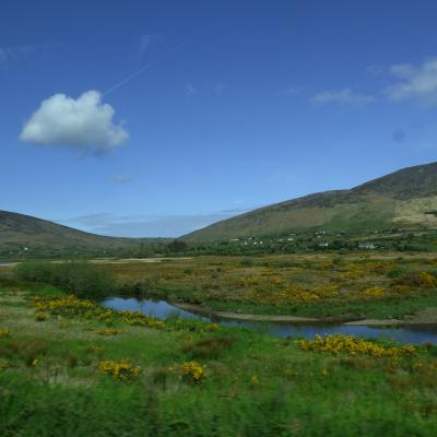 Paysage d'Irlande (Nanie)