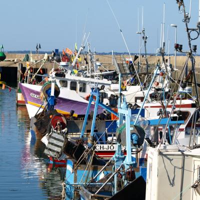 Port Haliguen