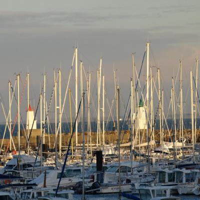 Port Haliguen