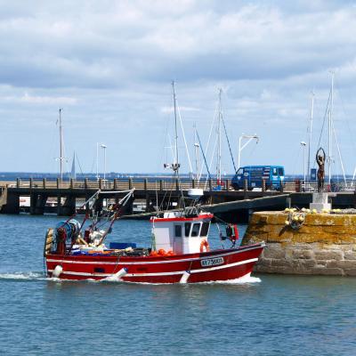 Port Haliguen