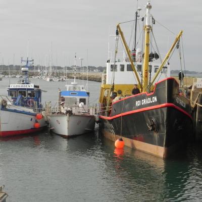 Port Haliguen