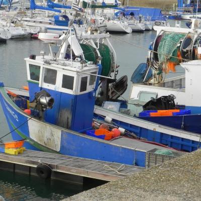Port Haliguen