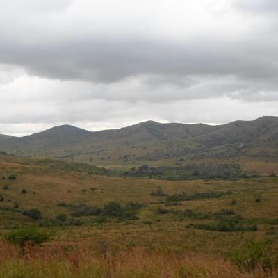 Réserve de Hluhluwe