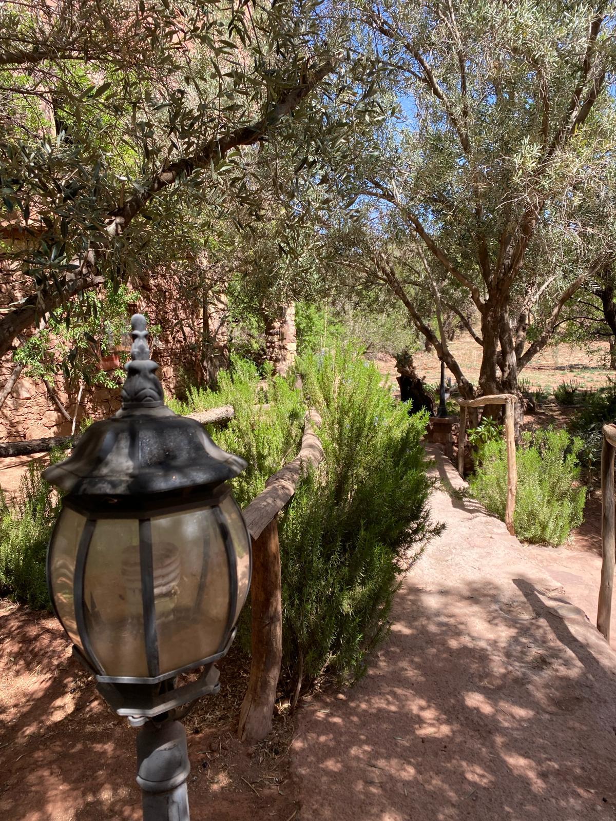 Télouet Maison hôtes Afoulki
