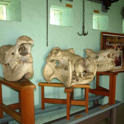 Zululand Historical Museum