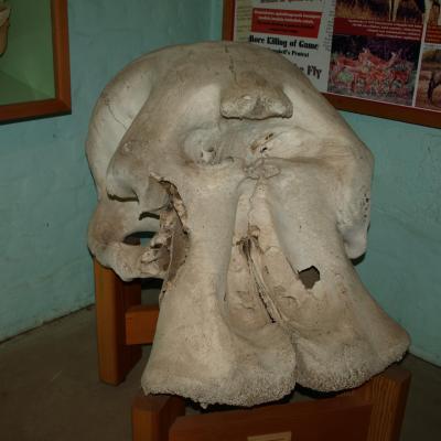 Zululand Historical Museum